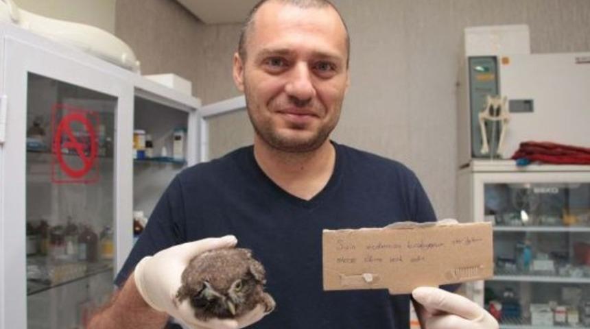 Nottan baykuş çıktı