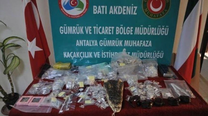 Gümrüklerde timsah kafası da yakalandı