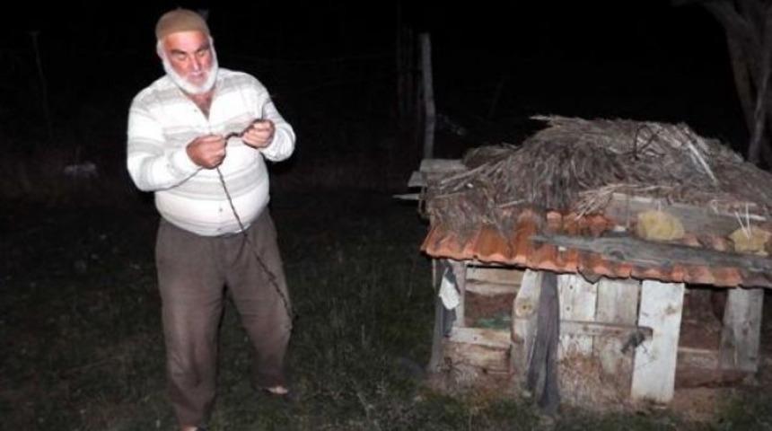 Köpek yiyen 'yaratık' korkusu
