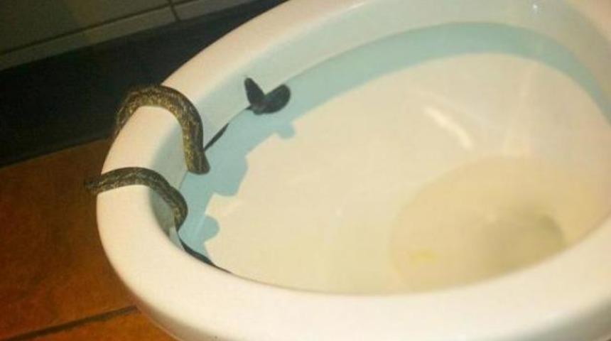 Tuvaletten bakın ne &ccedil;ıktı