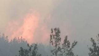 Korkutan görüntüler geldi! Çanakkale'de orman yangını: Müdahale başladı