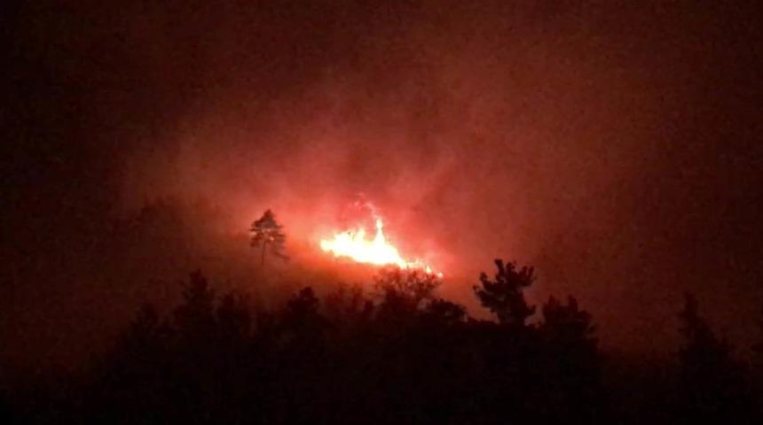 Hafta sonuna dikkat! Orman yangınları ile ilgili OGM'den açıklama: "Risk yüksek"