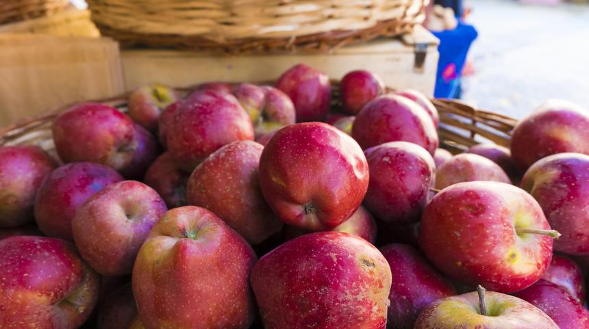 Pazardaki elmaların yüzde 13’ünde var! Ölümcül tehlike dünyayı tehdit ediyor