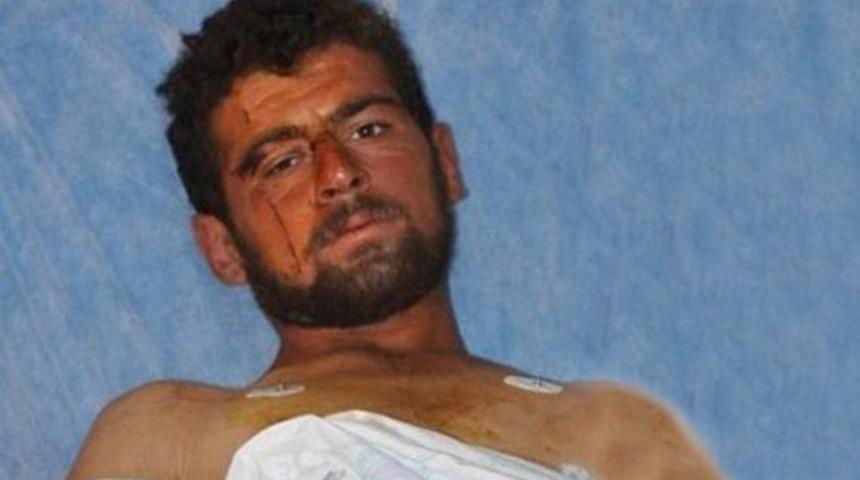 Ger&ccedil;ek ayıboğan Tunceli'den &ccedil;ıktı