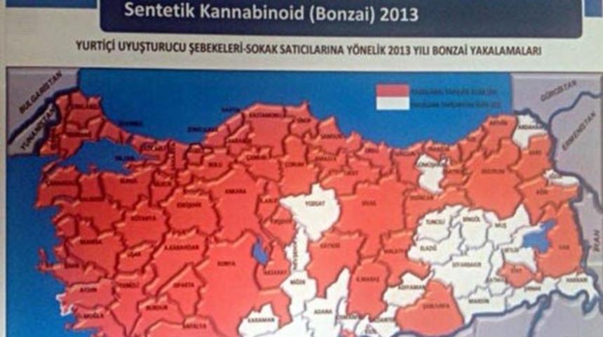 Bonzai kullanımında korkun&ccedil; ger&ccedil;ek