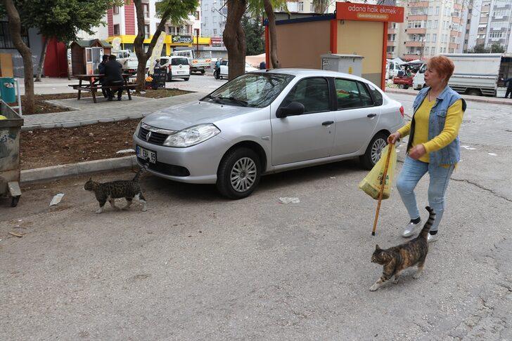 Emekli maaşıyla 20 yıldır sahipsiz hayvanları besliyor G1