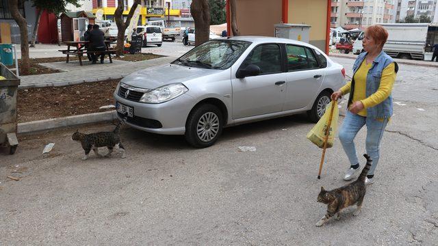 Emekli maaşıyla 20 yıldır sahipsiz hayvanları besliyor