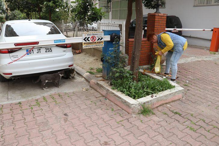 Emekli maaşıyla 20 yıldır sahipsiz hayvanları besliyor G2