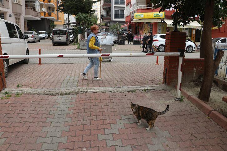 Emekli maaşıyla 20 yıldır sahipsiz hayvanları besliyor G3