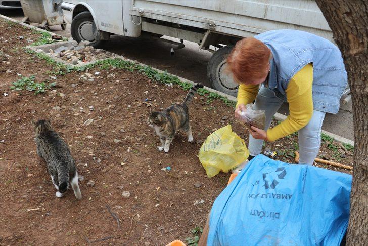 Emekli maaşıyla 20 yıldır sahipsiz hayvanları besliyor G5