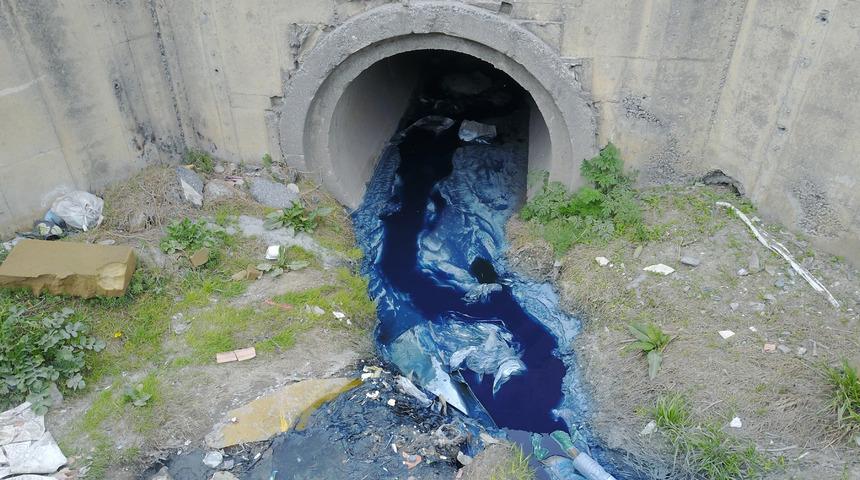 Zehir deresi! Rengi mavi ve yeşil akıyor... 'Kedimi aramaya geldim, birinin leşini buldum'