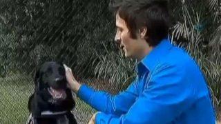 Evin köpeği kötü dadıyı ele verdi