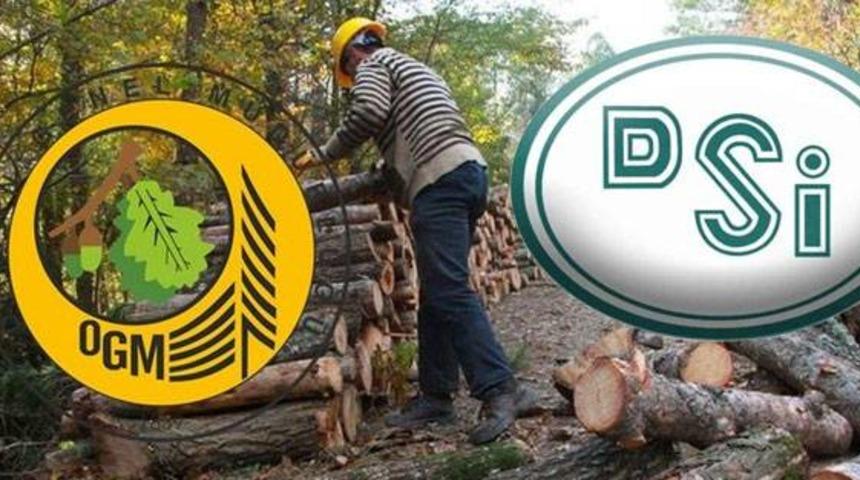 OGM DSİ personel alımı başvuru şartları nelerdir? OGM personel alımı 2022 ne zaman başlıyor? 2022 OGM DSİ personel alımı başvuru şartları nedir? 