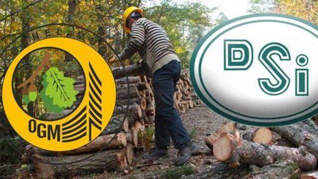 OGM DSİ personel alımı başvuru şartları nelerdir? OGM personel alımı 2022 ne zaman başlıyor? 2022 OGM DSİ personel alımı başvuru şartları nedir? 