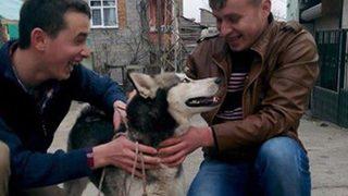 Köpek yüzünden tartıştığı oğlunu öldürdü