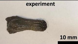 Görünüşü oldukça tuhaf! Yanlışlıkla yutulmuş nesneleri toplayabilir