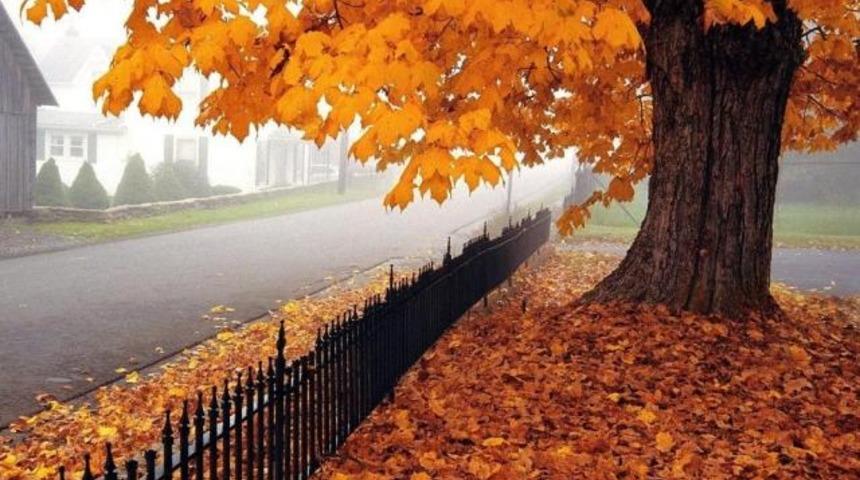 Sonbahar ger&ccedil;ekten &ouml;l&uuml;m ayı mı?