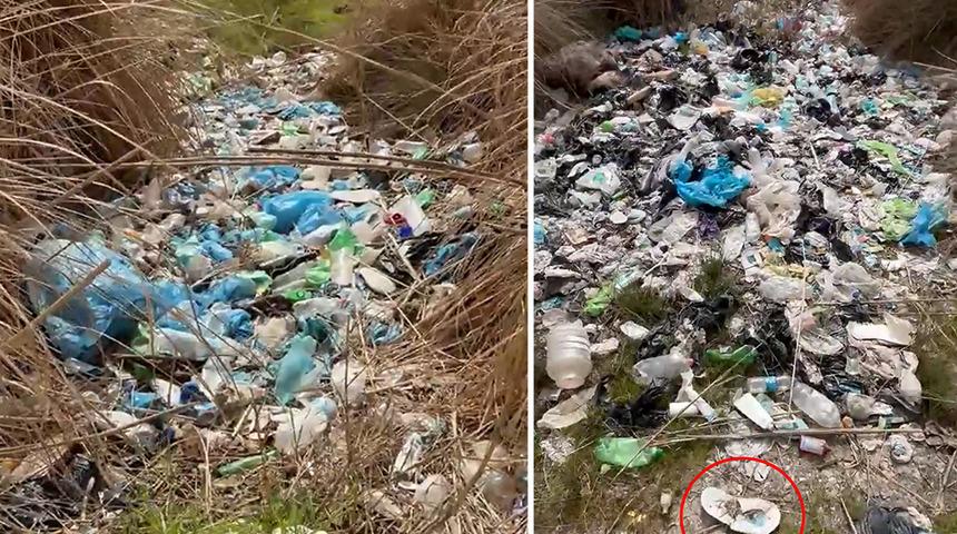 Antalya'da tepki çeken görüntü! Soruşturma başlatıldı