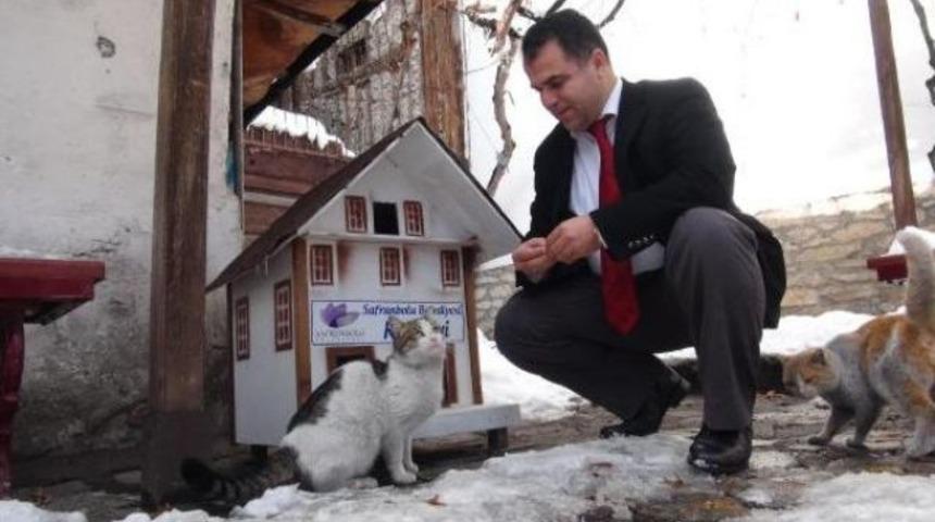 Safranbolu'ya mimariye uygun 16 kedi evi