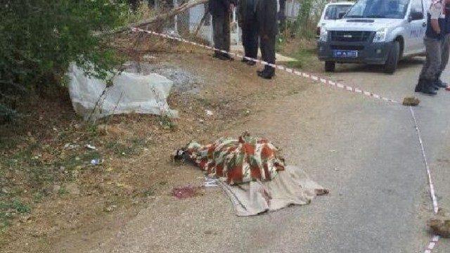 Çöp kamyonu ile annesini ezdi