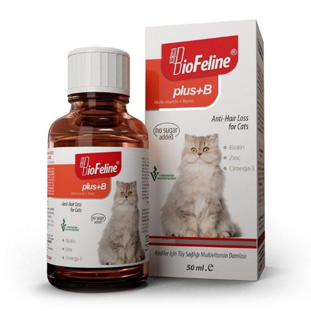 Kedinizin sorunlarına deva olabilecek onu zinde tutacak en iyi kedi vitaminleri