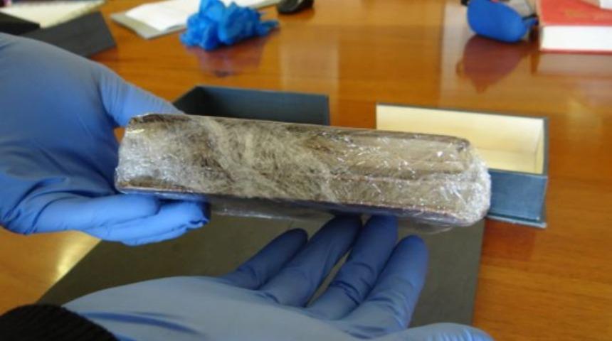 22 yıldır kayıptı! Darwin’in kayıp not defterleri gizemli bir şekilde ortaya çıktı: Mesaj dikkatleri çekti