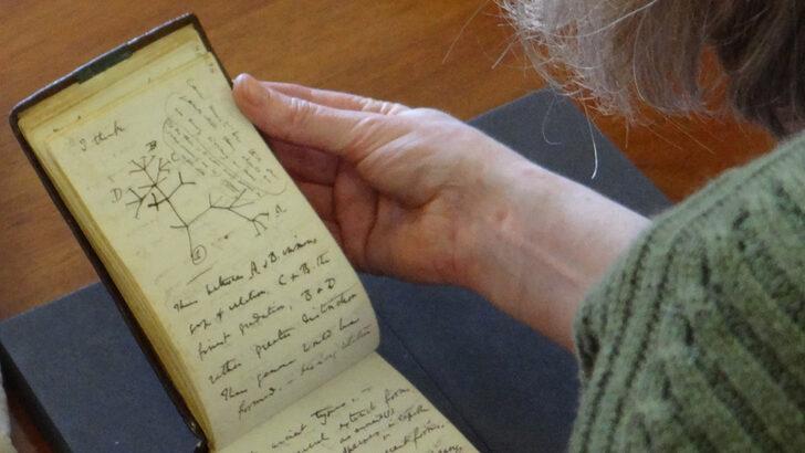 Darwin'in 'çalınan' iki not defteri, 22 yıl sonra kütüphaneye geri bırakıldı
