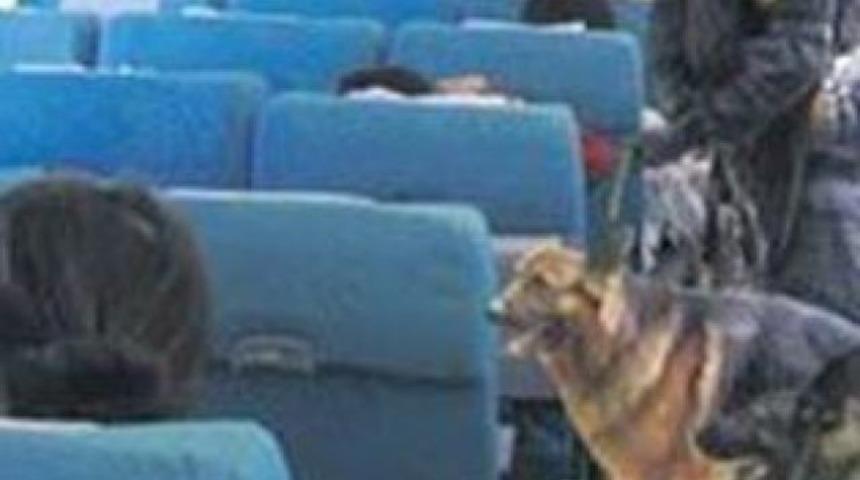 Türk yolcuları köpeklere koklattılar