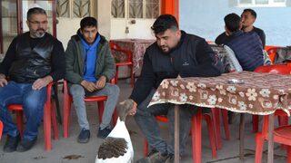 Neye niyet, neye kısmet! 'Paşa' adlı kaz ile sahibinin ilişkisi şaşkına çeviriyor