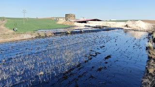 Tonlarca yakıt çevreye yayıldı! Edirne'de fuel oil kazanı patladı: Bakanlıktan açıklama geldi
