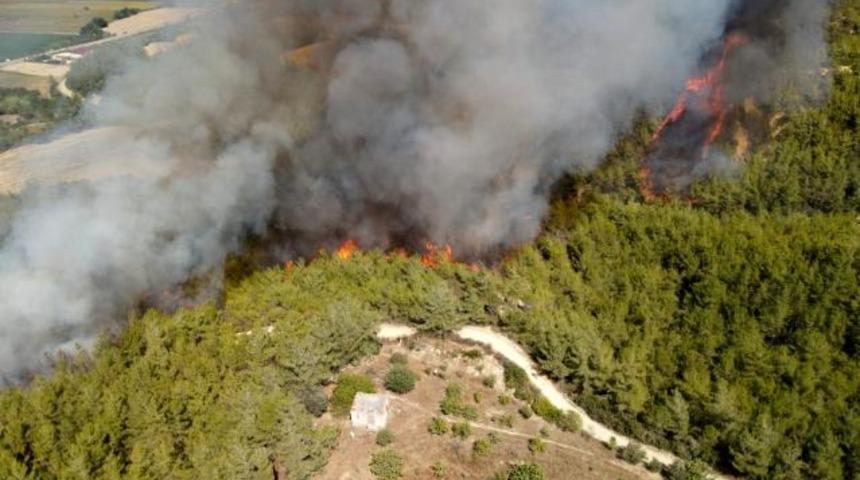 Her şeyi itiraf etti! PKK'dan 'para karşılığı orman yak' talimatı almış