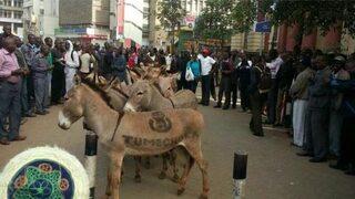 Kenya'da eşekli 'Bıktık' eylemi