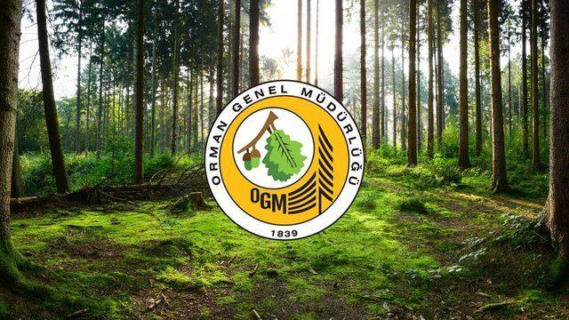 OGM personel alımı başvuru ekranı! OGM ve DSİ işçi alımı başvurusu şartları neler? OGM personel alımı başvurusu nasıl yapılır?