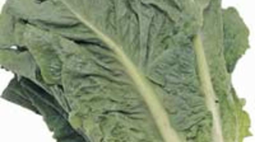 Cildin İ&ccedil;in B&ouml;yle Beslen