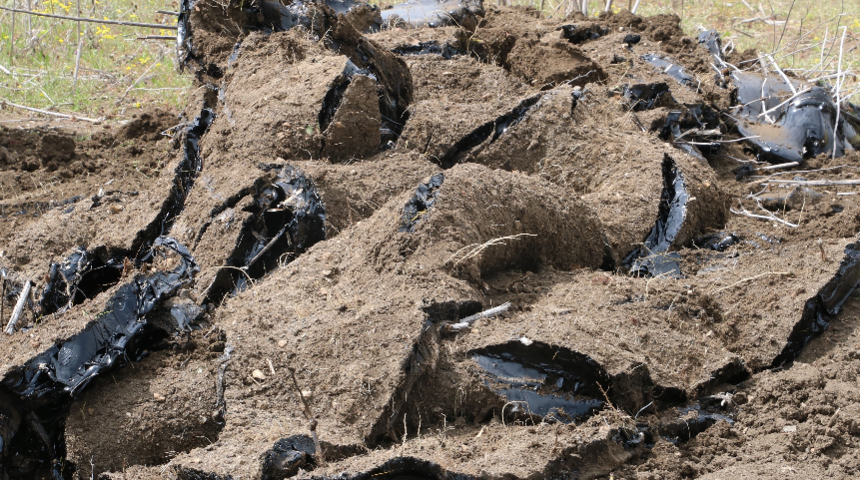 Edirne'de tonlarca zift tarlalara yayıldı! Korkutucu boyut böyle görüntülendi