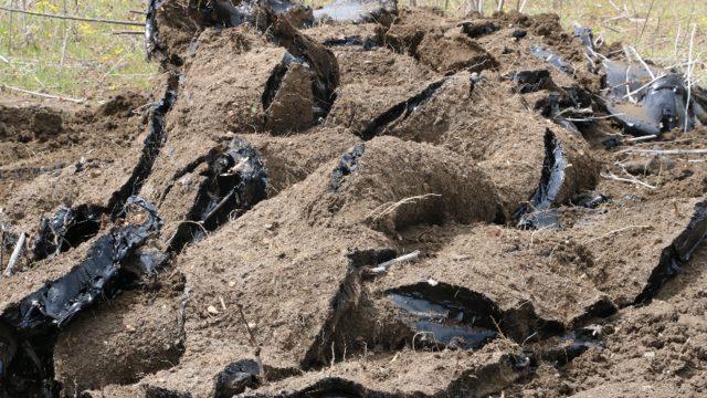 Edirne'de tonlarca zift tarlalara yayıldı! Korkutucu boyut böyle görüntülendi