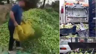 Sebzeler çöpe mi dökülüyor? Market ve pazardaki yüksek fiyatlar sonrası gelen görüntüler olay olmuştu, Bakanlık gerçeği açıkladı