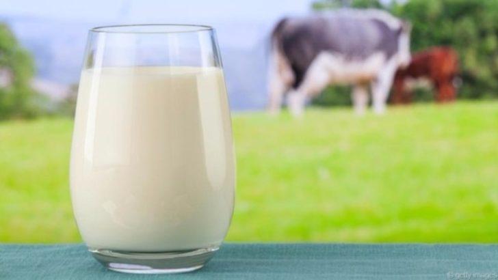 Süt ne zamandan beri temel besin maddesi?