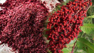 Her yerde satılıyor! Anne sütünü artırır, iltihapları söker, enerji verir, boğaz ağrısını şıp diye keser