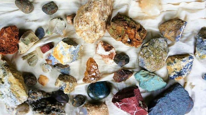 Doğadan topluyor! Hobi olarak başladı, geçim kaynağı oldu