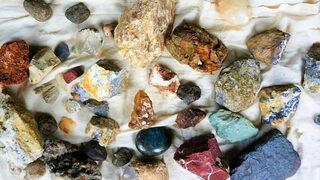 Doğadan topluyor! Hobi olarak başladı, geçim kaynağı oldu