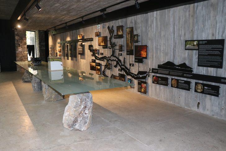 Gökgöl Mağarası yenilenen çehresiyle ziyaretçilerini ağırlıyor G3