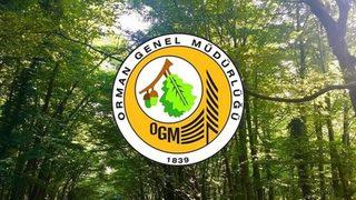 OGM işçi alımı ne zaman? 2022 OGM personel alımı başvuru şartları neler? İşte OGM işçi alımı başvuru ekranı!