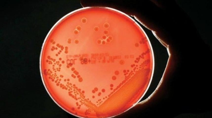 Antibiyotik yerine ‘süper enzim’