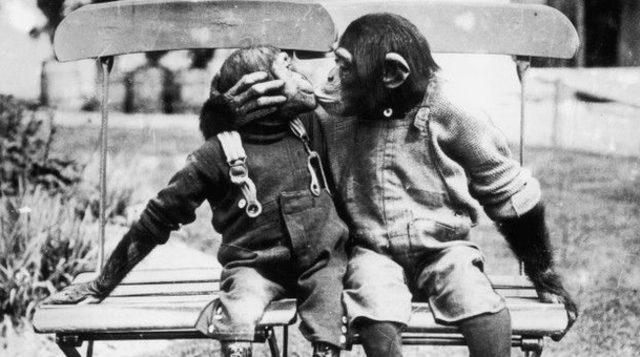 İnsanlar neden &ouml;p&uuml;ş&uuml;r? 2