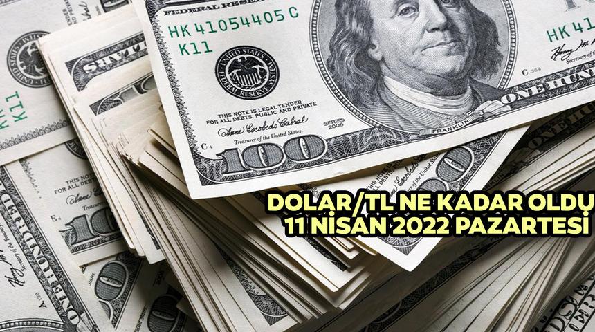 11 Nisan dolar kaç TL? Euro kaç lira? 11 Nisan 2022 Pazartesi güncel dolar kuru!