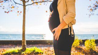 Hamilelere idari izin kalktı mı? Hamilelere idari izin süreci bitti mi? Resmi Gazete'de yayımlandı!