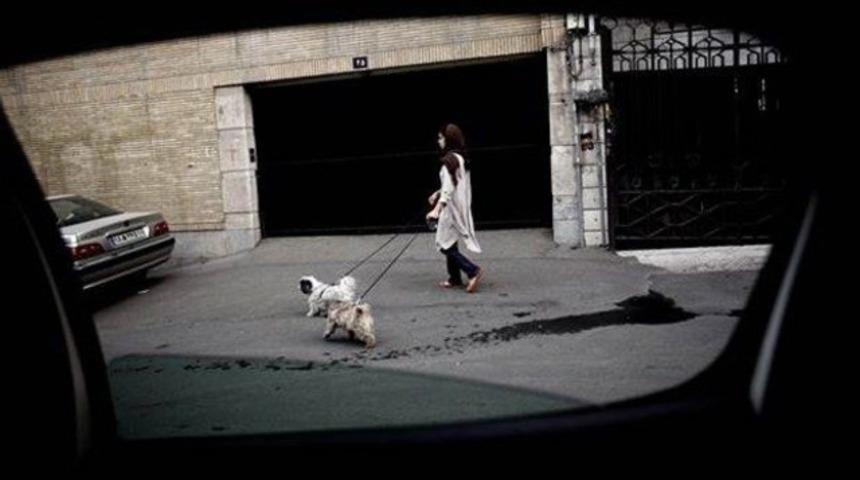 İran'da 'köpek gezdiren kırbaçlansın' teklifi