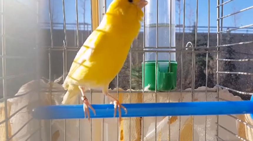 Galatasaray'dan Fenerbahçe'ye gönderme!