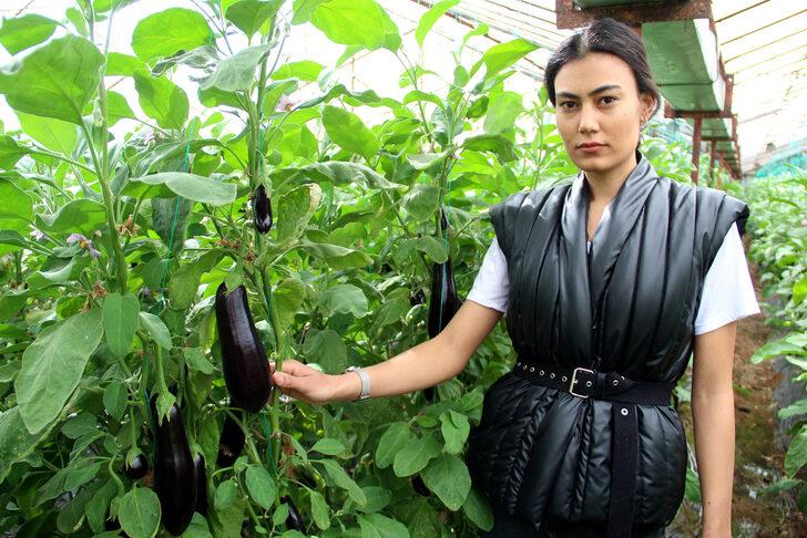 Meyve ve sebze fiyatları için tarih verildi! 20 güne kadar... G3